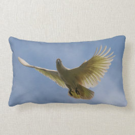 Cockatoo Bird Parrot Animal Fliegen Sky Australien Lendenkissen