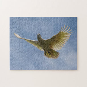 Cockatoo Bird Parrot Animal Fly Sky, 252 Stück