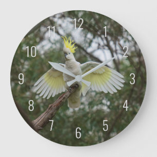 Cockatoo Bird Parrot Fly Wings Avian Australia Große Wanduhr