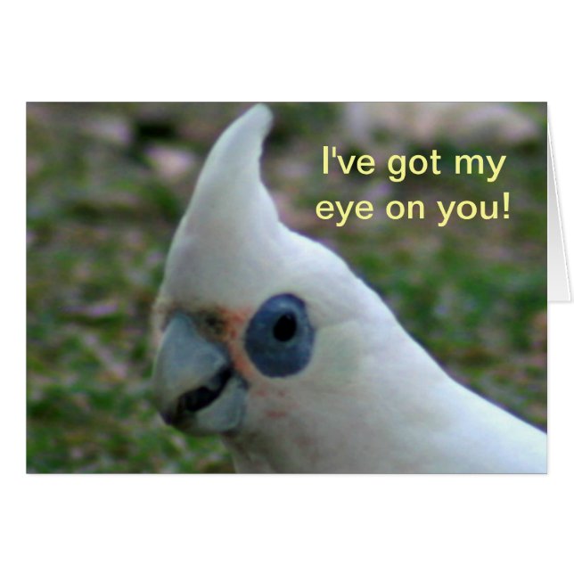 Cockatoo bleu (Devant horizontal)