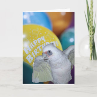 Cockatoo-Geburtstags-Karte Karte
