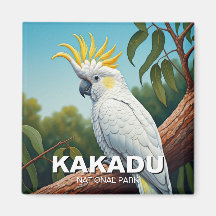 Cockatoo im Kakadu Nationalpark Australien