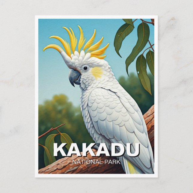 Cockatoo im Kakadu Nationalpark Australien Postkarte (Vorderseite)