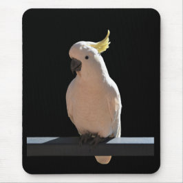 Cockatoo in den Sundial Apartments Mousepad