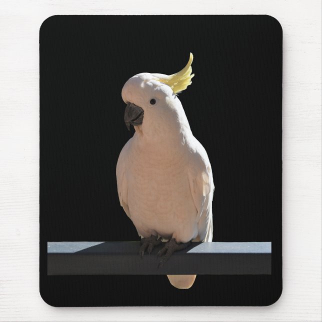 Cockatoo in den Sundial Apartments Mousepad (Vorne)