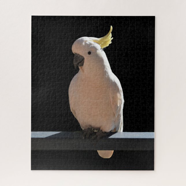 Cockatoo in Sundial Apartments Jigsaw Puzzle (Vertikal)