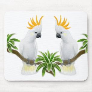 Cockatoo-Liebe Mousepad