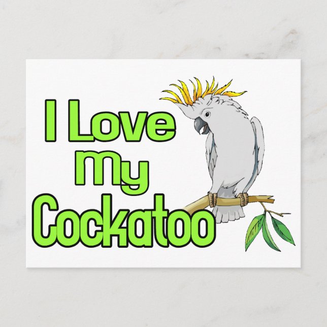 Cockatoo-Liebe Postkarte (Vorderseite)