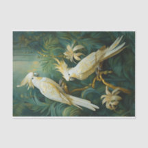 Cockatoo-Liebhaber, White Feathers Elegance