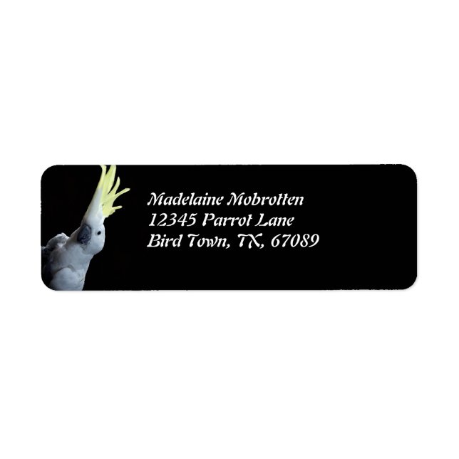 Cockatoo Parrot (Vorne)