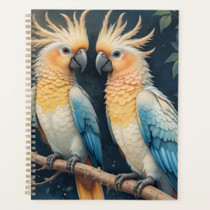 Cockatoo Parrot Couple