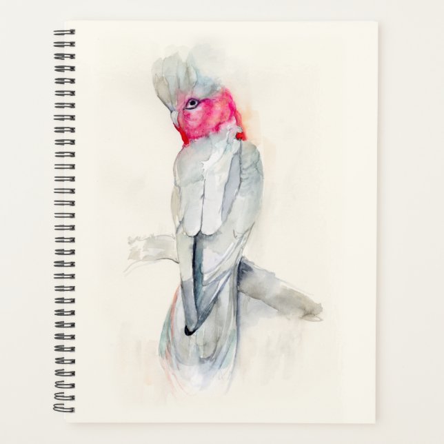 Cockatoo Planer (Vorderseite)