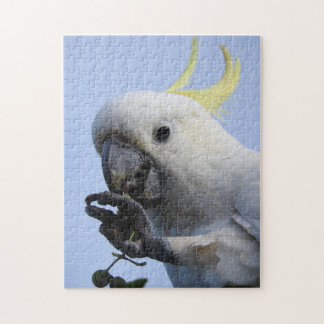Cockatoo-Puzzlespiel Schwefel-Mit Haube