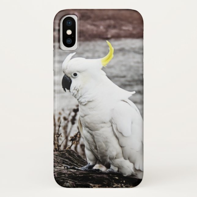 Cockatoo Schwefel-Mit Haube Case-Mate iPhone Hülle (Rückseite)