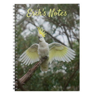 Cockatoo Spreading Wings Bird Australien Notizblock