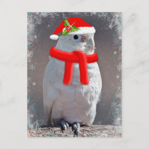 Cockatoo Weihnachts-Postkarte Feiertagspostkarte