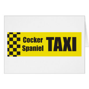 Cocker de taxi