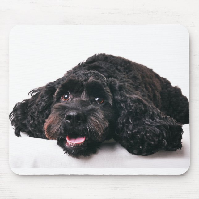 Cocker Poodle Mix Welpenmousepad Mousepad (Vorne)