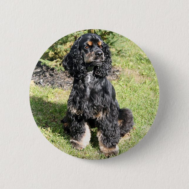 Cocker Spanel Foto Button (Vorderseite)