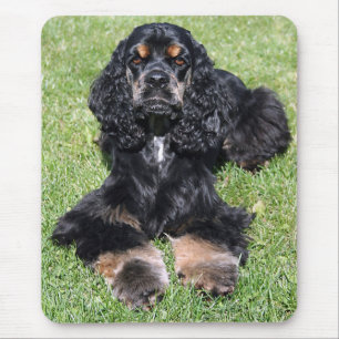 Cocker Spanel Foto Mousepad