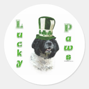 Cocker Spanel Lucky Paws Runder Aufkleber