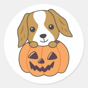 Cocker Spanel Pumpkin Niedlich Hunde Happy Hallowe Runder Aufkleber