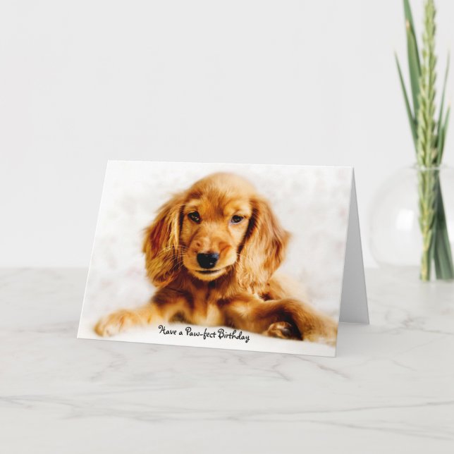 Cocker Spanel Puppy Happy Birthday Card Karte (Vorderseite)