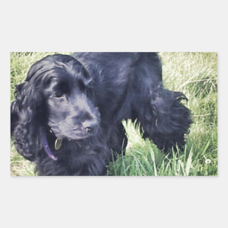 Cocker Spanel Puppy Rechteckiger Aufkleber