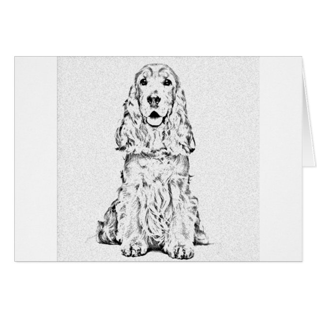 Cocker spaniel (Vorderseite (Horizontal))