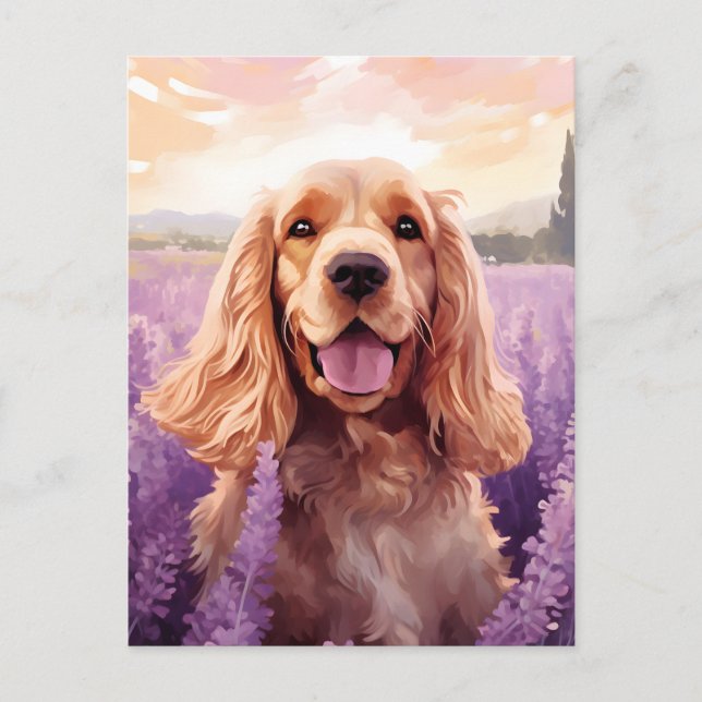 Cocker Spaniel auf dem Lavender-Feld Postkarte (Vorderseite)