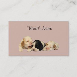 Cocker spaniel-Brüter-Visitenkarte Visitenkarte