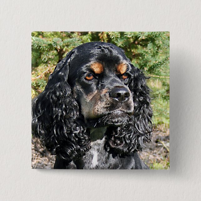 Cocker Spaniel Button (Vorderseite)