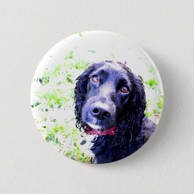 Cocker Spaniel Button (Vorderseite)
