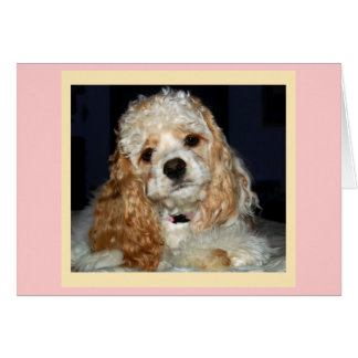 Cocker Spaniel Card