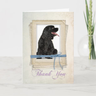 Cocker Spaniel Carte de remerciements