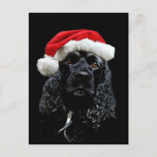 Cocker Spaniel Christmas Feiertagspostkarte