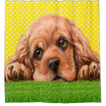 Cocker Spaniel Cutie Douche Rideau
