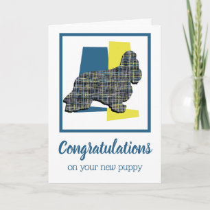 Cocker Spaniel Dog Welpe Gratulation Gruß Karte