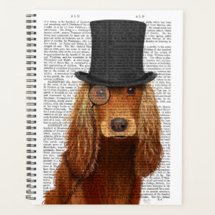 Cocker Spaniel, Festhund und Hut Planer