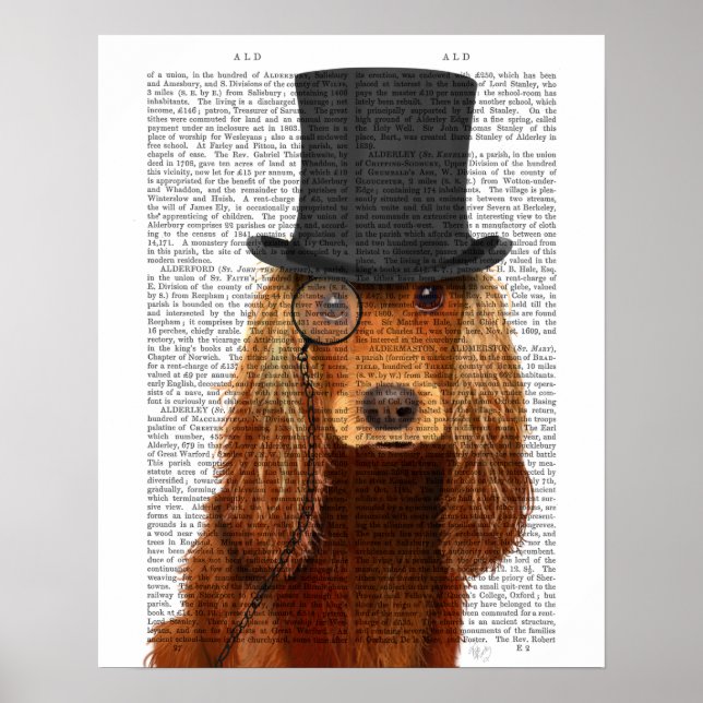 Cocker Spaniel, Festhund und Hut Poster (Vorne)