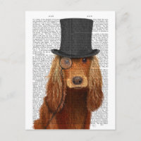 Cocker Spaniel, Festhund und Hut