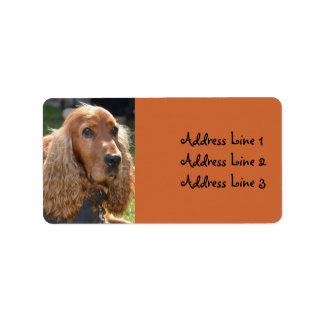 Cocker Spaniel Foto-Adressetikett Adressaufkleber