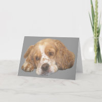 Cocker Spaniel Freckles Grußkarte