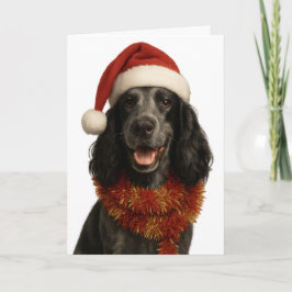 Cocker Spaniel Happy Christmas card Karte