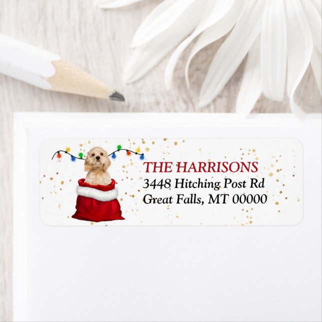 Cocker Spaniel Hund in der Geschenktüte Rücksendea (Insitu)