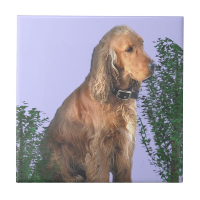 Cocker spaniel-Hundeliebhaber Fliese (Vorderseite)