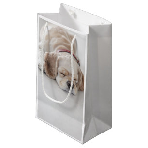 Cocker spaniel-Hundeschlafen Kleine Geschenktüte