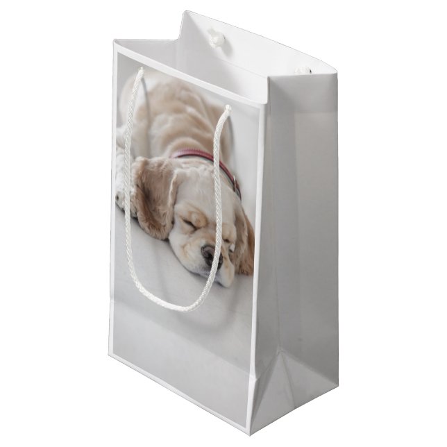 Cocker spaniel-Hundeschlafen Kleine Geschenktüte (Vorderseite Schrägansicht)