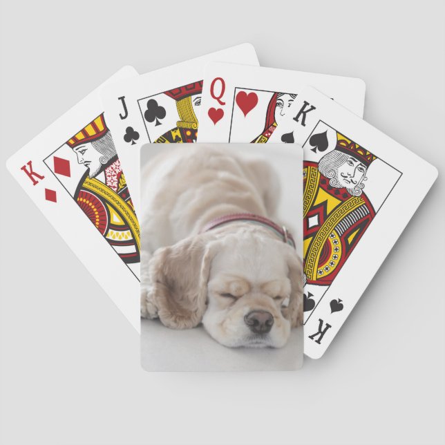 Cocker spaniel-Hundeschlafen Spielkarten (Rückseite)