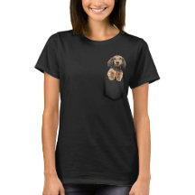 Cocker Spaniel in Pocket, Funny Cocker Spaniel